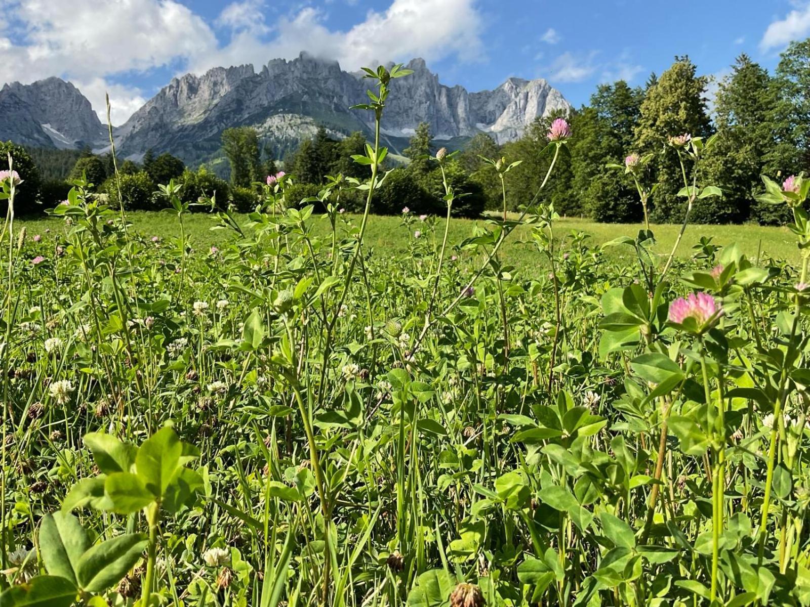 Kitz Deluxe Suite 1 & 2 Im Zentrum Mit Eigenem Spa & Parken By Belle-Stay Kitzbühel Eksteriør bilde